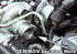 Alta BOV Spring Upgrade