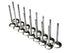 Brian Crower Toyota 3SGTE 29.0mm (Standard) Exhaust Valves