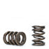 Skunk2 Tuner Series Honda/Acura (B16A/ B17A/ B18C) DOHC VTEC Alpha Valve Spring Set (Dual Springs)