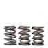 Skunk2 Tuner Series Honda/Acura (H22A/F20B) DOHC VTEC Alpha Valve Spring Set (Dual Springs)