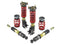 Skunk2 06-11 Honda Civic Si Pro ST Coilovers