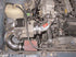 Injen Polished IS Short Ram Cold Air Intake For 84-87 Toyota Corolla Sports GTS L4-1.6L - IS2200P