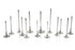 Ferrea Acura/Honda B16A1/B17A1 28mm 5.45mm 102.5mm 25 Deg Flo Stock 6000 Series Exh Valve - Set of 8