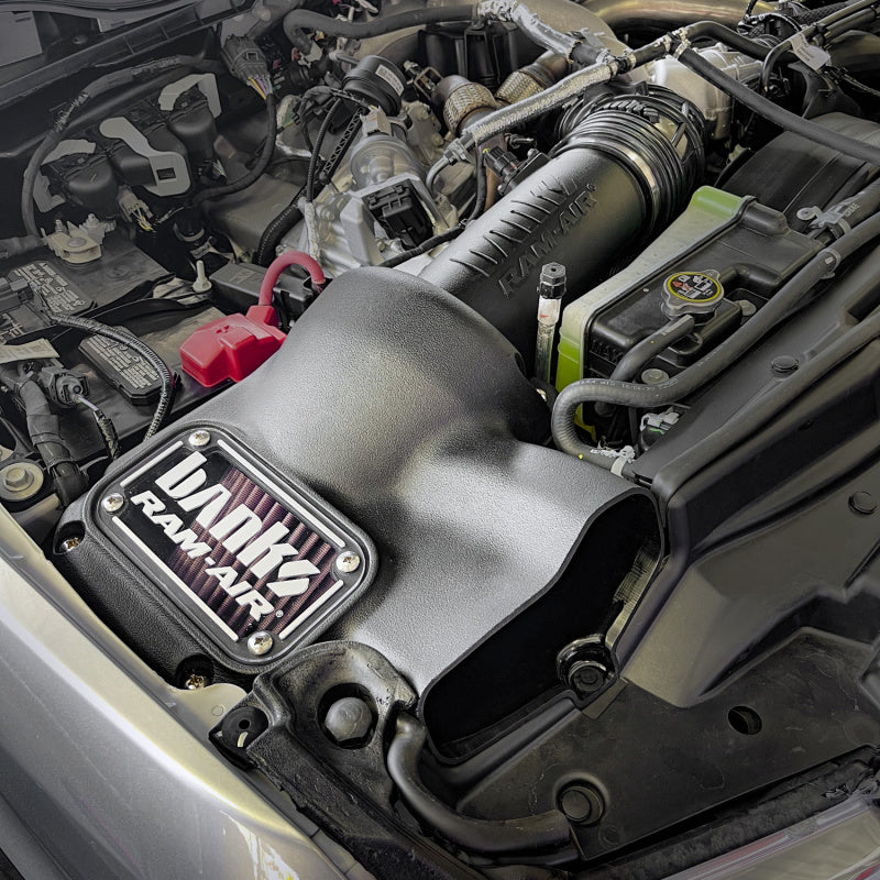 Banks Power Ram Air Intake System Dry, Oiled Filter for 20-21 Ford F250/F350/F450 6.7L RAI 41849-D