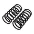 ARB / Old Man Emu Rear Coil Spring Pair Set for Mercedes-Benz G Wagon 3030