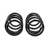 ARB / Old Man Emu Rear Coil Spring Pair Set for Cherokee Kk 2731