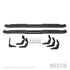 Westin 2019 Ram 1500 Crew Cab (Excl. 1500 Classic) PRO TRAXX 4 Oval Nerf Step Bars - SS