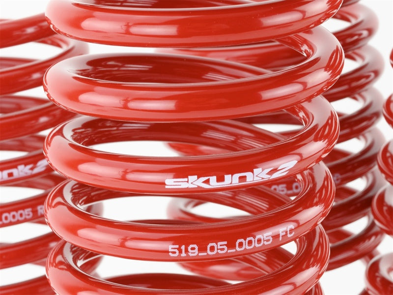 Skunk2 94-01 Acura Integra Lowering Springs (2.50in - 2.25in.) (Set of 4)