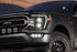 Diode Dynamics 21-23 Ford F-150 Elite Fog Lamps - White