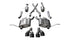Corsa 14-16 Jeep Grand Cherokee Summit Edition Black 2.5in Dual Rear Exit Cat-Back Exhaust