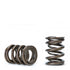 Skunk2 Tuner Series Honda/Acura (K20/K24/F20C/F22C) DOHC VTEC Alpha Valve Spring Set (Dual Springs)