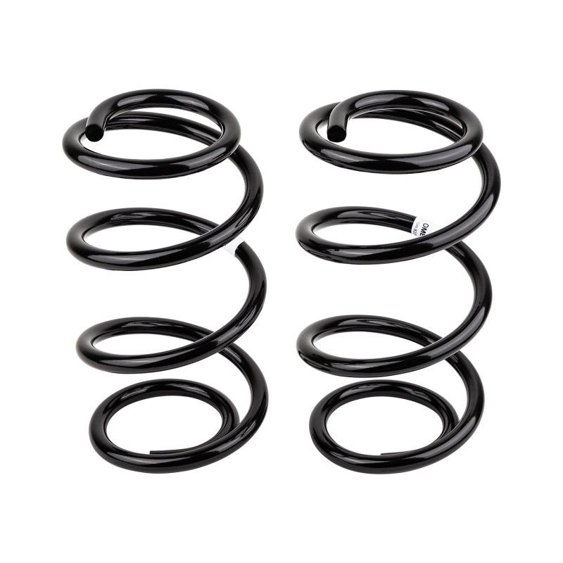 ARB / Old Man Emu Rear Coil Spring Pair Set for Cherokee Kk 2731